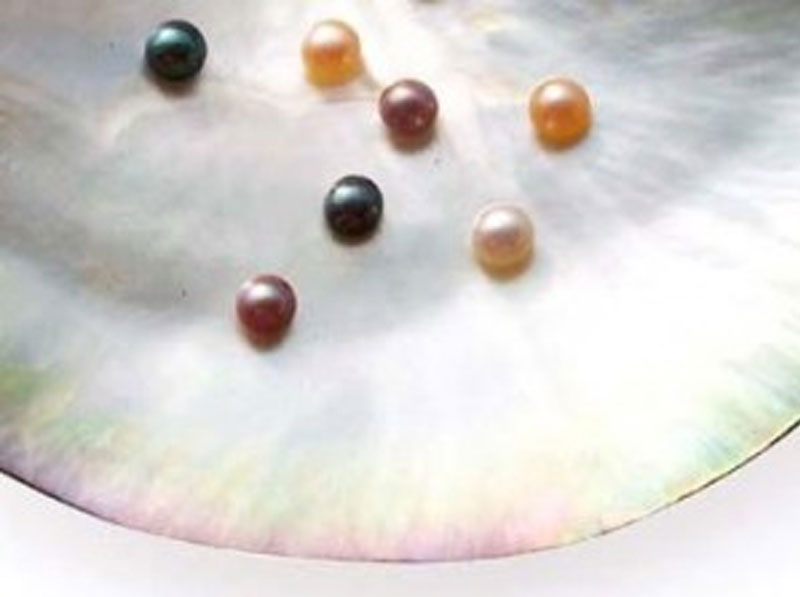 Seed Pearls