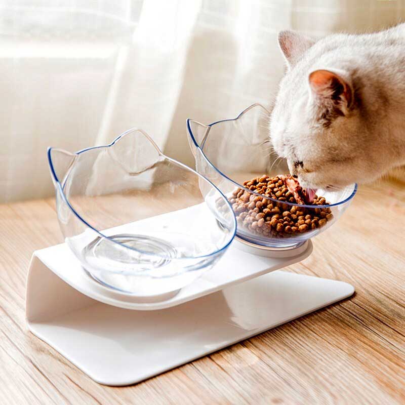 10 Purr-fect Must-Haves Cat Supplies for Your Feline Friend's Arrival!
